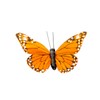 YCHTEWY Monarch Butterfly Decor Feather Butterfly Decorations Set of 12