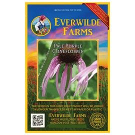Everwilde Farms - 300 Pale Purple Coneflower Native Wildflower Seeds - Gold Vault Jumbo Seed Packet