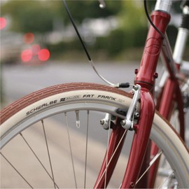 SCHWALBE Fat Frank Kevlar Guard Wired, Brown, 26 x 2.35-Inch