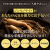 6年根・高麗紅参エキスパワースティック 10ml×10本 錦山人参農協 ／ 高麗人参エキス 朝鮮人参 紅人参 紅参 ginseng