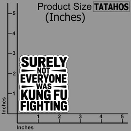 (3Pcs) Surely Not Everyone was Kung Fu Fighting Stickers Funny Sarcastic Quote Humor Motivational Inspirational Gifts Waterproof Vinyl Decals Kindle Water Bottle Bumper Car Hard Hat Phone Laptop 3x2.5