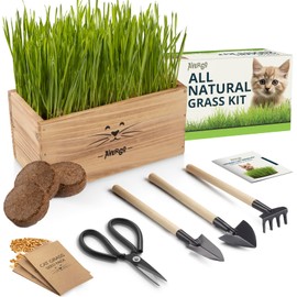 Cat Grass Kit for Indoor Cats – x4 Seed Packets | Cat Grass Seeds with Wooden Planter, Soil & Mini Gardening Tools for Nipping – Pet Wheatgrass Grass
