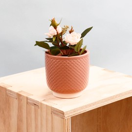 Sill and Sage Shell Pot, Blush, Small