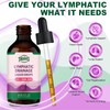TIKOLUES Lymphatic Drainage Drops | Organic Lymphatic Cleanse Immune Support