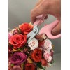 CHIKAMASA MF-9000, Precision Shears for Florists, Carbon Steel with Fluorine