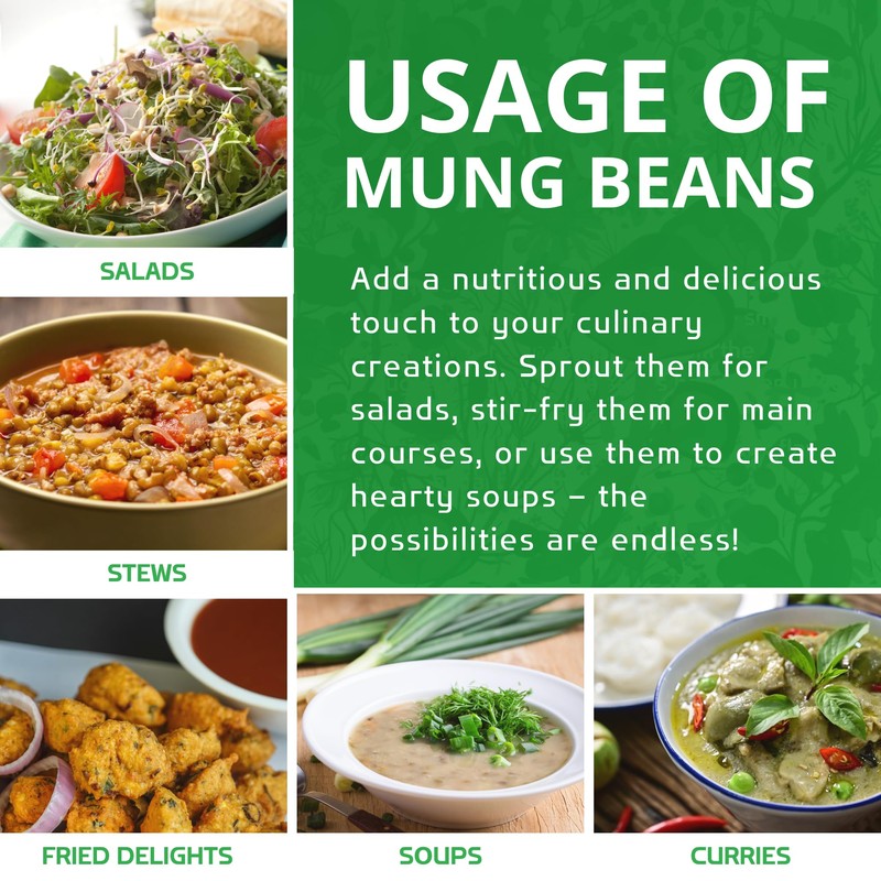 Jiva Organic Mung Bean - Mung Moong Beens Whole for