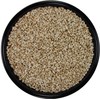 Safflower Seed (20 lbs.)
