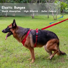 BROUAURPE Bungee Dog Leash with Shock Absorption, Dual Handles for Pull Control, Reflective Nylon, Zinc Alloy Hook, D-Ring for Poop Bags, Red, L