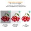 LED Corn Light Bulb E26 E27 Base LED Corn Lamp