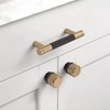 Asidrama 10 Pack 3 Inch(76mm) Matte Black and Champagne Bronze