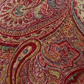 Spruce Queen Duvet Cover Set, Red, Paisley