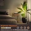 URTOM LED Spot Lights Indoor 3W Up Lights Indoor with