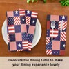 Pfrewn Memorial Independence Firework Cloth Napkins Set of 4 Patriotic