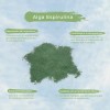 Alga Espirulina 100% Pura Organica Polvo 500g.