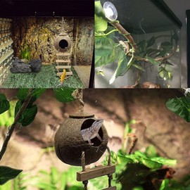 Tfwadmx Crested Gecko Coco Hut Natural Lizard Coconut Shell Hideout Home Mini Condo Reptiles Durable Ladder Cave Habitat Hanging Loop Climbing Porch Hiding Nest House(4 Pcs)