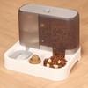Cat Water Bowl Moderate Capacity Removable Double Pets Water Food