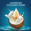 Head & Shoulders Royal Oils Anti-Dandruff Shampoo and Conditioner Twin