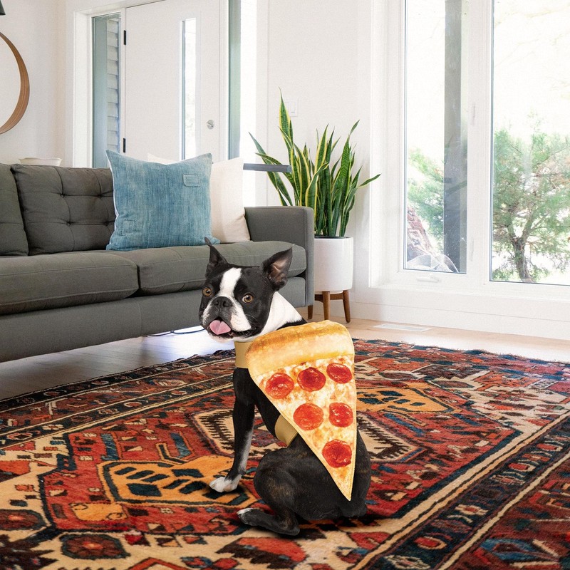 Pizza Pet Costume L/XL