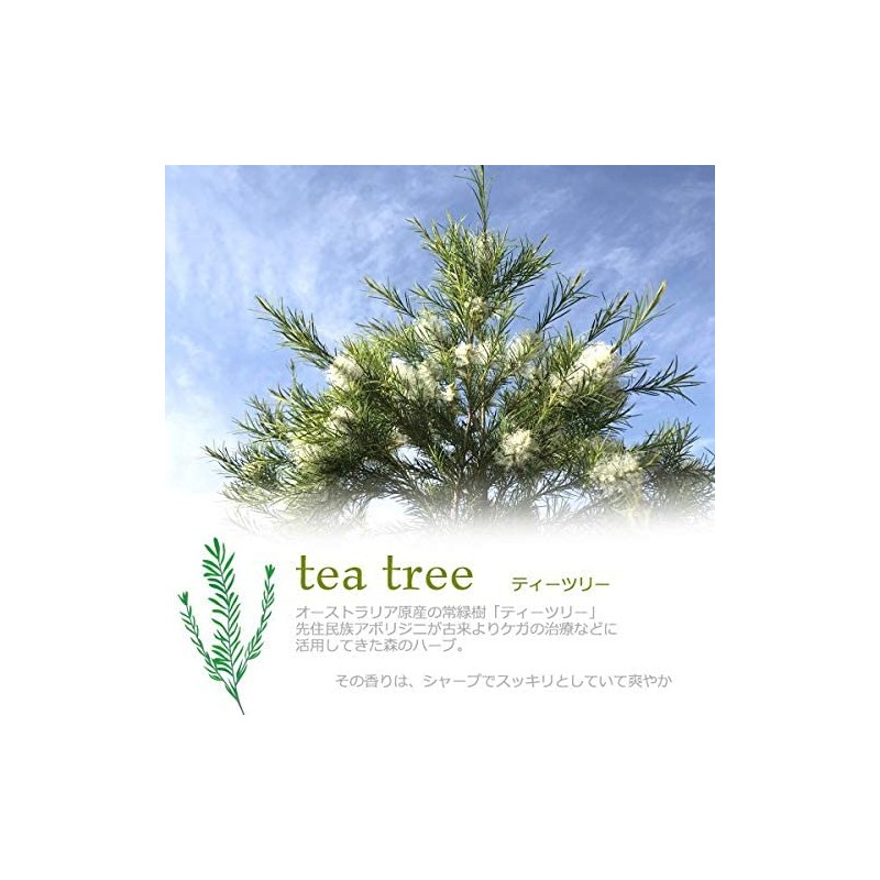 Tea Tree Oil, 3.4 fl oz (100 ml), Made in