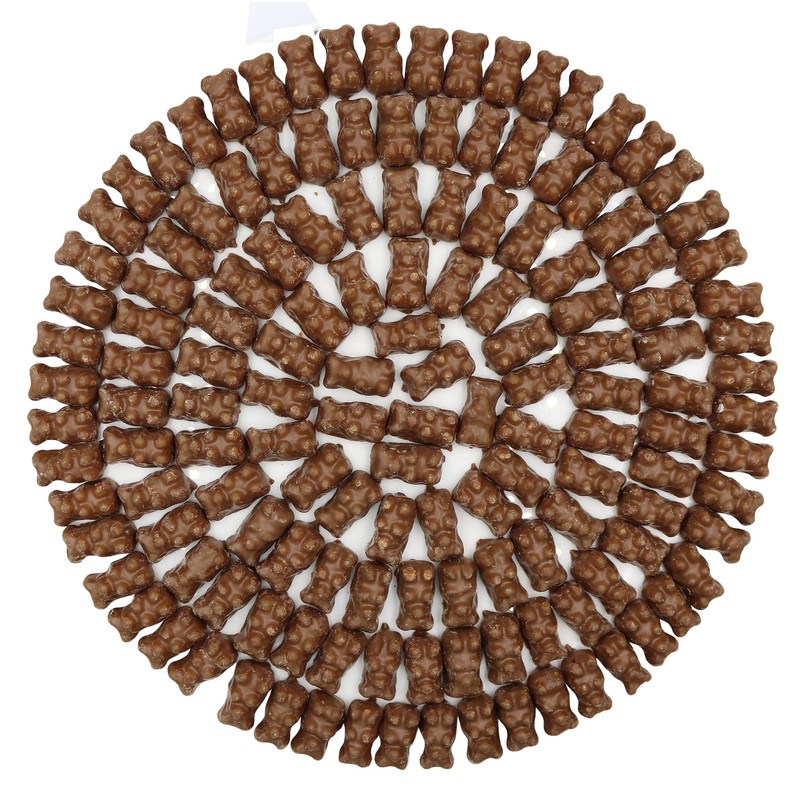 FirstChoiceCandy Gummy Bears (Chocolate covered Gummy Bears, 2 LB)