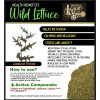 Fresh 100+ Wild Lettuce Seeds - Medicinal Herb Seeds FREE