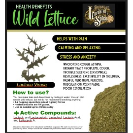 Fresh 100+ Wild Lettuce Seeds - Medicinal Herb Seeds FREE SHIPPING!