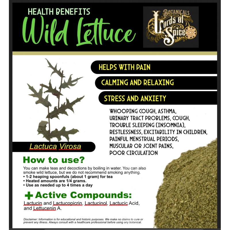 Fresh 100+ Wild Lettuce Seeds - Medicinal Herb Seeds FREE