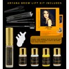 ARYANA NEW YORK Eyebrow Lamination Kit | At Home DIY