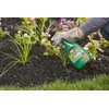 Ortho 0438580 Grass B Gon Garden Grass Killer Ready-to-Use, 24-Ounce