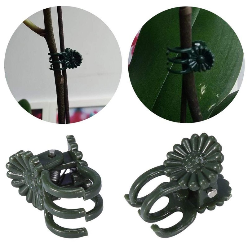 SOOGGI Plant Strut Clips, Attracting Clips, Set of 100, Plant