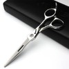 Japan 440 C Hair Salon Studio Hairdressing Styling Professional Tool