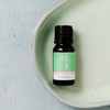 ECO. Modern Essentials Little Sniffles Essential Oil Blend, Rollerball 10ml