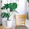 Bleuhome 6 Pack Plant Saucer 4 5 inch (4 inch