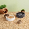 2 Pack Ceramic Bowls for Syrian Hamster & Hedgehog, 3.9"