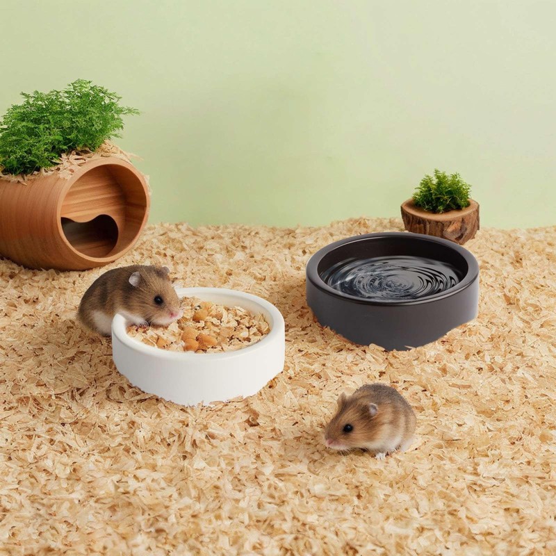 2 Pack Ceramic Bowls for Syrian Hamster & Hedgehog, 3.9"
