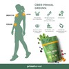 Primal Harvest Primal Greens Organic Barley Grass Powder Vitamins Minerals