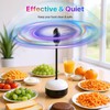 GUSTYLE 2 Pack Fly Fans for Tables with LED Light,