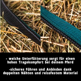 Pferdelinis Halter for Warmblood, Thoroughbred, Cold Blood, Pony - Stable Headcollar, Pasture Headcollar, 2-Way Adjustable Pin Buckles, Safe and Tear-Resistant (Green, Thoroughbred (Cob))