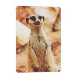 Ravensden 3D Magnet Meerkat Fridge Magnets 11 x 7.5 cm Animals