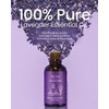 VTS Essential Oils - Lavender & Sweet Orange & Tea