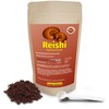 Reishi Spores Extract Powder The Cell Walls Are Gently Broken