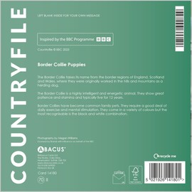 Abacus Cards General Male/Female Blank/Birthday Card - 'Border Collie Puppies' - Eco-Friendly & Recyclable - From the BBC Countryfile Range