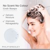 PHILIP KINGSLEY | No Scent No Color Gentle Shampoo |