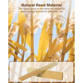 New bee 10pcs Bb Clarinet Reeds Strength 3.0 Individually Packed with Reed Case, Thinner Reed Tip Advanced Cutting Technology for Clarinet Beginner and Player