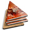 4 x Triangle Coasters - Adorable Hedgehog Garden Wildlife Cork