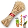 KT Deals 100 Pack 16" Bamboo Plant Stakes, Garden Sticks