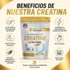 Creatina Monohidratada Micronizada Gold Genesis Sin Sabor 500g Ultra Pure