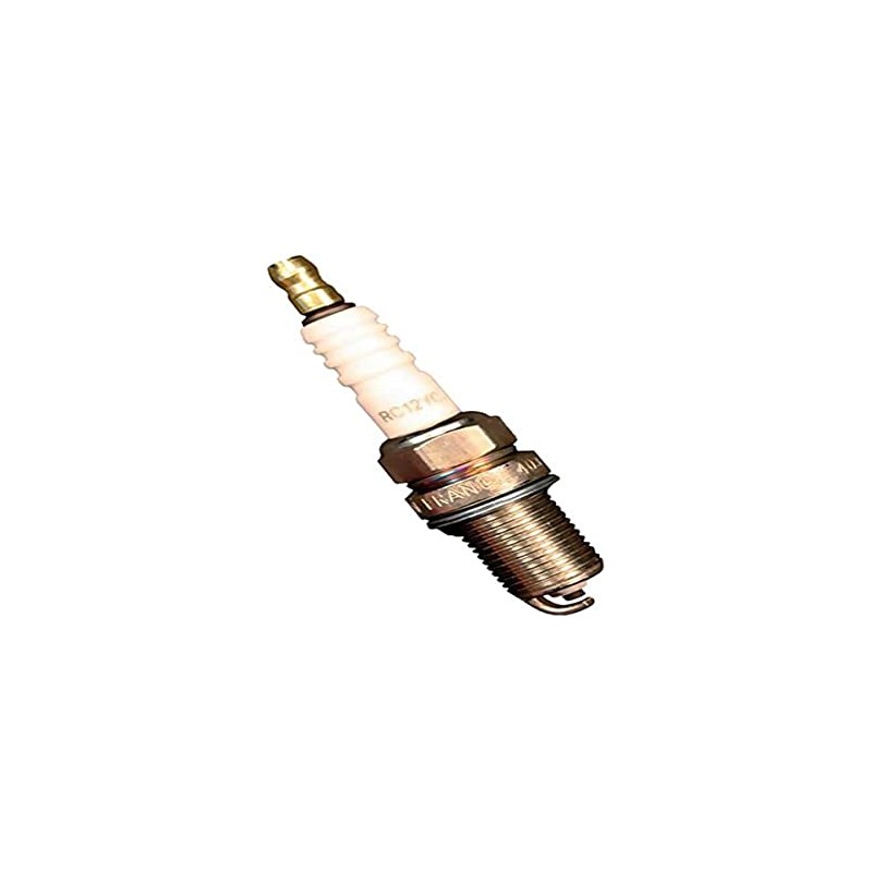 Champion OE013/T10 Spark Plug