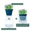 D'vine Dev 4 Inch Design Self Watering Planter for Indoor