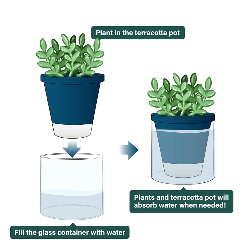 D'vine Dev 4 Inch Design Self Watering Planter for Indoor